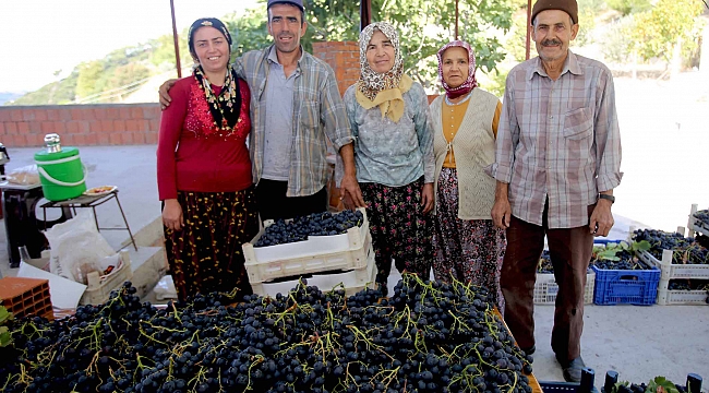 İzmirli Üzüm Yetiştiricisi Fatma Yılmaz'dan Büyük Başarı