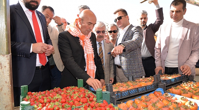 Karakılçık Buğdayı İzmir'in Ovalarına Geri Dönüyor