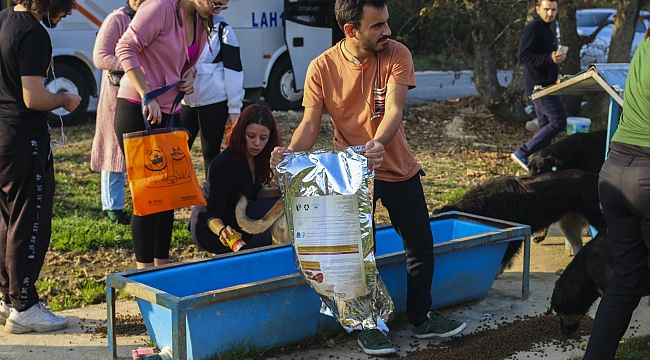 Sürgün Edilen Köpekler Unutulmadı