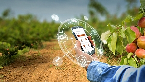 Tarım Arazisindeki Bilgilere Mobil'den Ulaşılıyor
