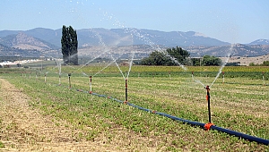 İzmir'de 400 Bin Dekar Tarım Arazisi Sulanıyor