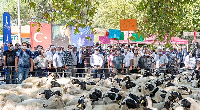 İzmir'de Hayvancılığın Gelişimine Katkı