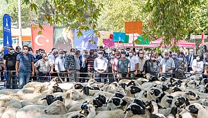 İzmir'de Hayvancılığın Gelişimine Katkı