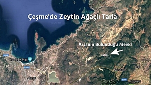 Çeşme'de Satılık Zeytin Ağaçlı Tarla