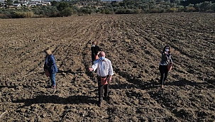 Kemalpaşa'da 'Karakılçık Buğdayı' Hamlesi 