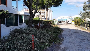 Çeşme'ye Katı Organik Gübre Üretim Tesisi Kurulacak