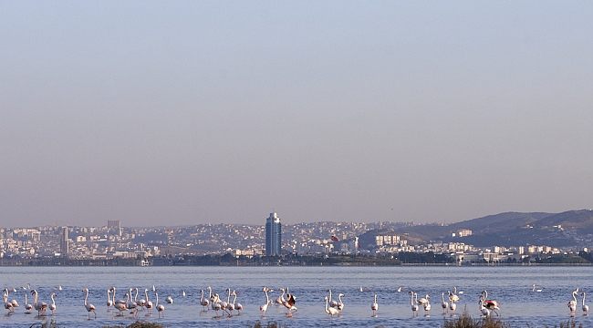 İzmir Gediz Deltası Birlikteliği Projesi Tamamlandı