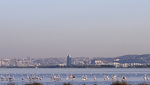 İzmir Gediz Deltası Birlikteliği Projesi Tamamlandı