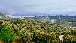 İzmir'in Doğası Tehlike Altında