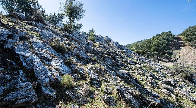 Smyrna antik kentinde taş ocağı