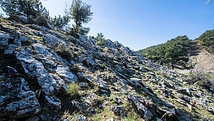 Smyrna antik kentinde taş ocağı