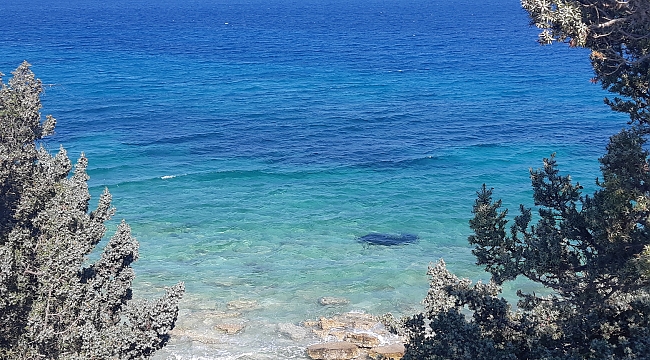 Turizm sektöründe teknoloji odaklı çözümler