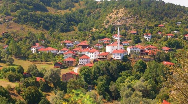 Mahalle olan köylerden kırsal başvurusu